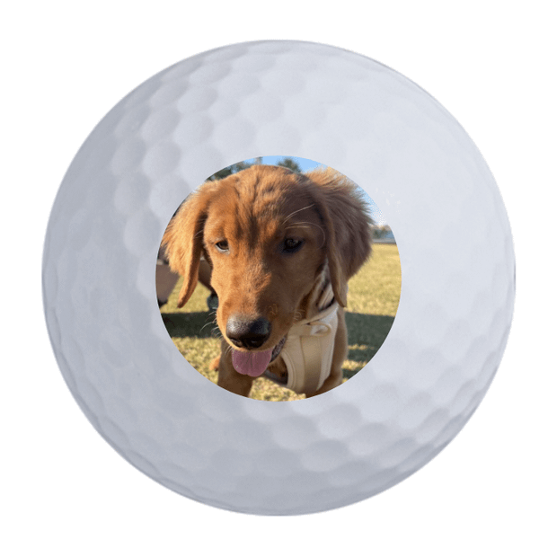 TaylorMade Distance + Golf Balls