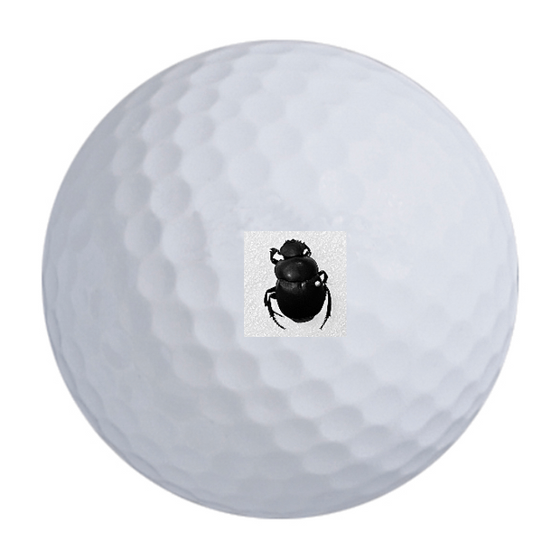 Callaway Chrome Soft Triple Track Golf Balls