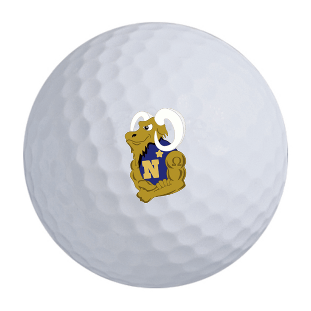 TaylorMade Distance + Golf Balls