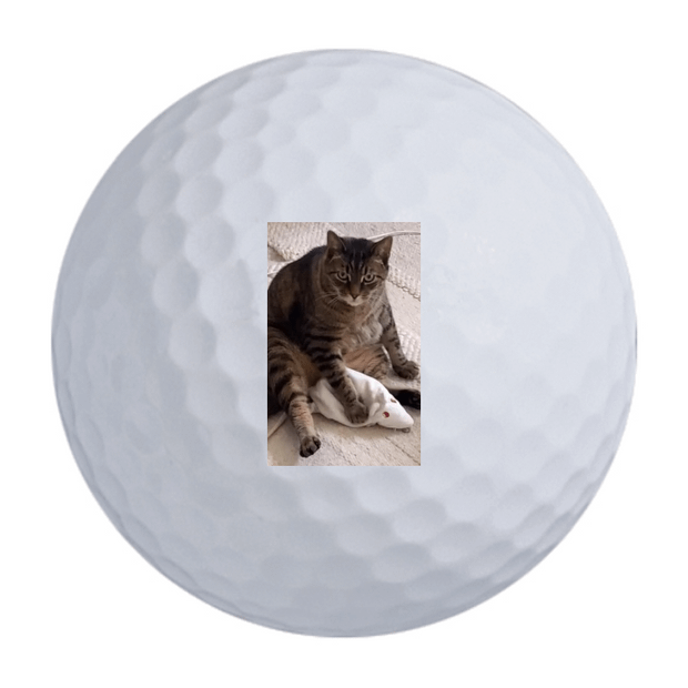TaylorMade Distance + Golf Balls