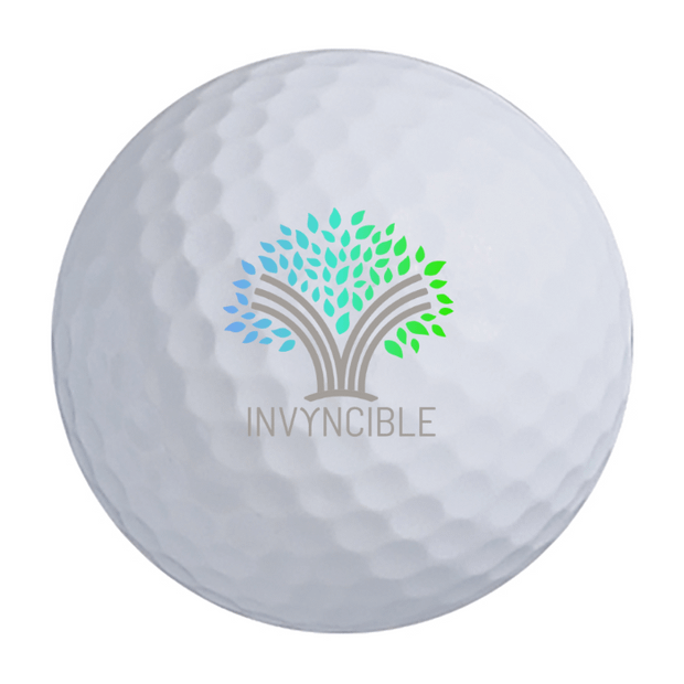 Titleist Pro V1 Golf Balls