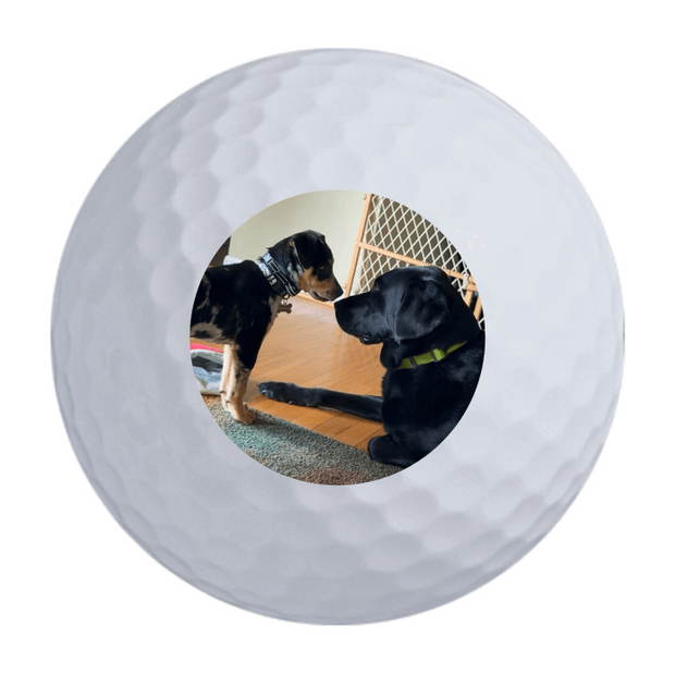 Bridgestone e6 Golf Balls