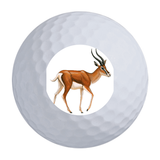 TaylorMade Distance + Golf Balls