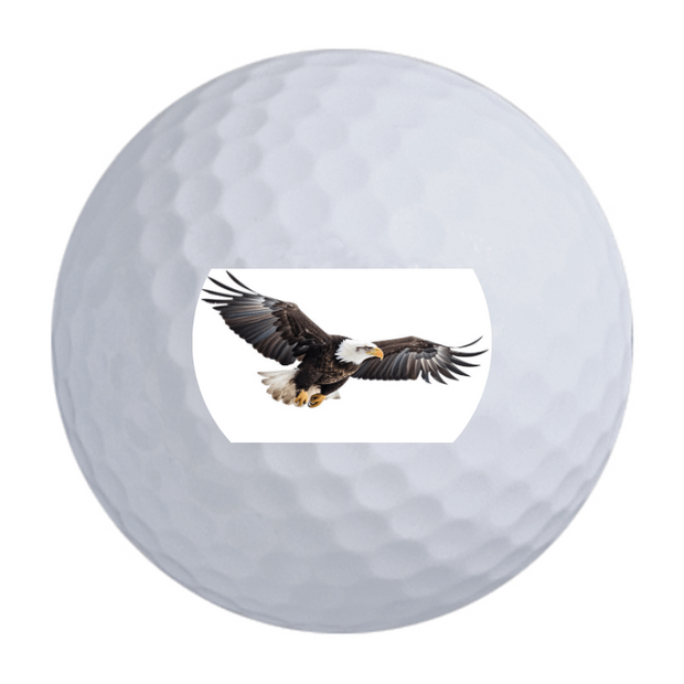 Bridgestone e6 Golf Balls