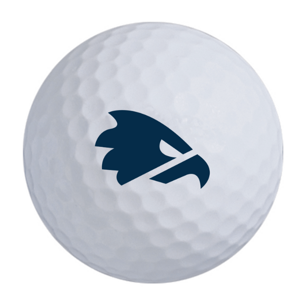 TaylorMade Distance + Golf Balls