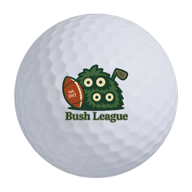 Bridgestone e6 Golf Balls