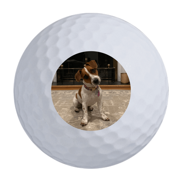 Titleist Pro V1 Golf Balls