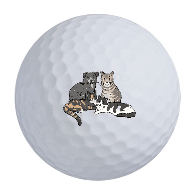 TaylorMade TP5x Golf Balls