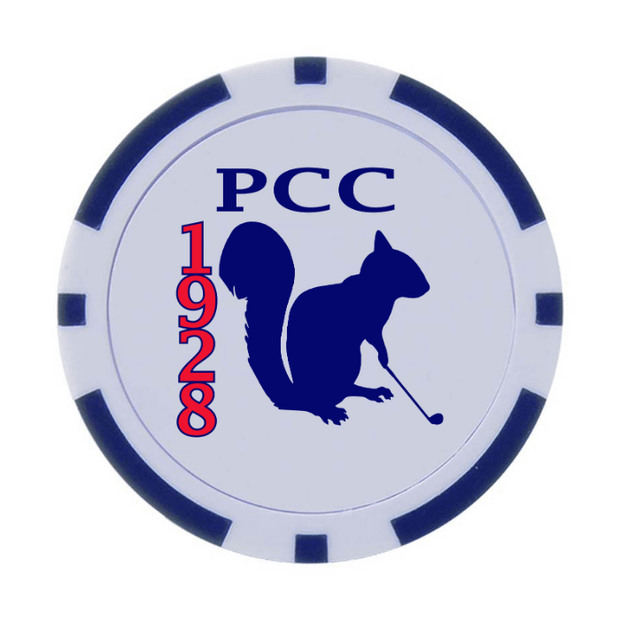 30 Poker Chips in Tube