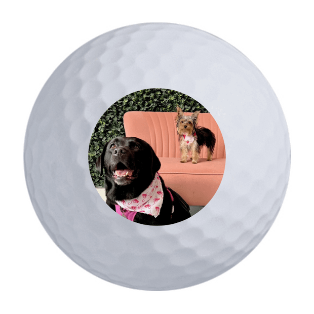 Nitro Maximum Distance Golf Balls