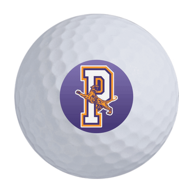 Precept Power Drive Golf Balls