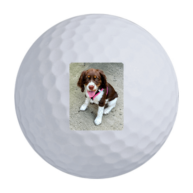 Custom Callaway Supersoft Golf Balls One Dozen