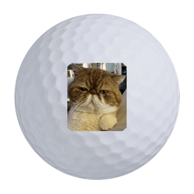 Wilson Ultra Distance Golf Balls