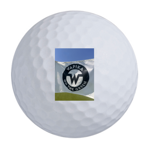 Bridgestone e9 Long Drive Golf Balls