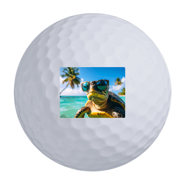 TaylorMade Distance + Golf Balls