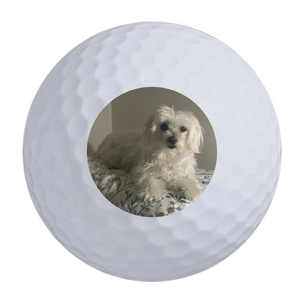 Callaway Warbird Golf Balls