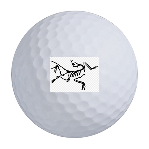 Custom Titleist Pro V1 Golf Balls