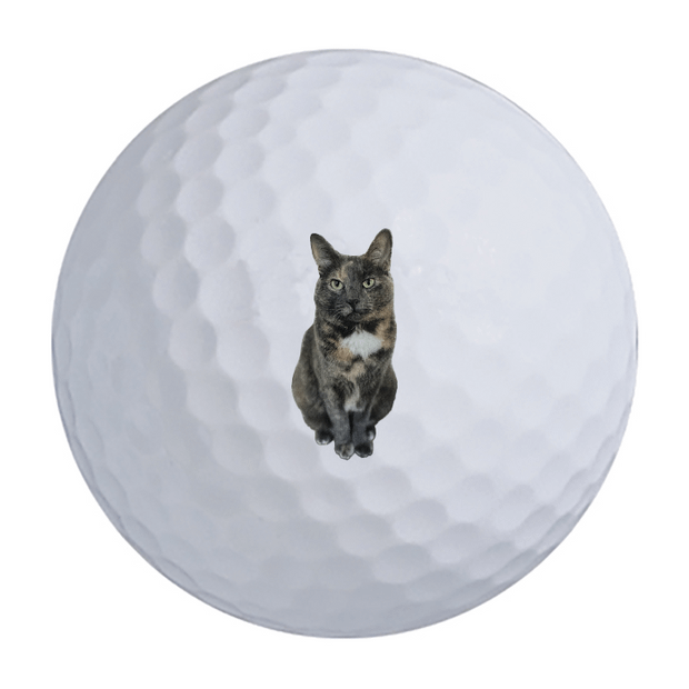 Vice Drive Golf Balls