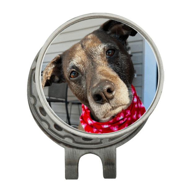 Hat Clip Ball Marker Silver