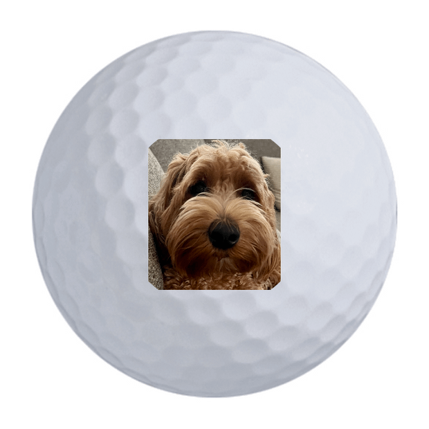 Titleist Pro V1 Golf Balls