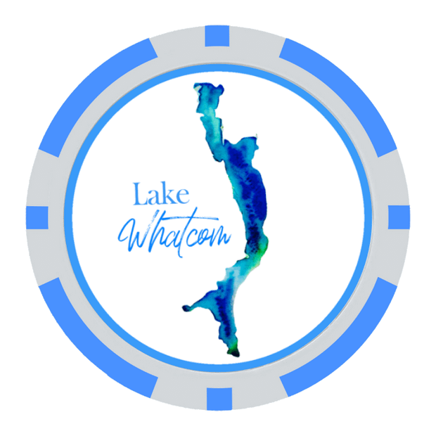 Light Blue Poker Chips