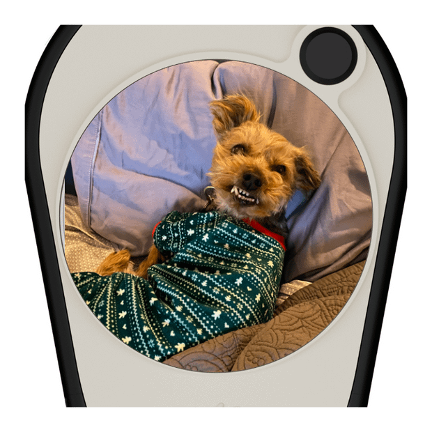 Pitchfix Ultima Divot Tool with Custom Ball Marker (Stars & Stripes)