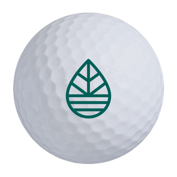 Bridgestone e6 Golf Balls