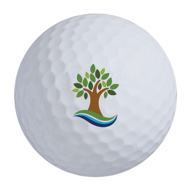 Callaway Warbird Golf Balls - 2 For $35