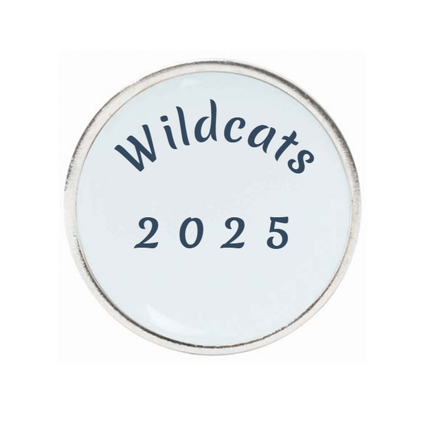 10 Pack Silver Ball Markers