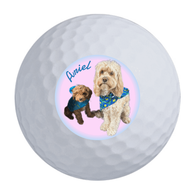 Wilson 50 Elite Golf Balls