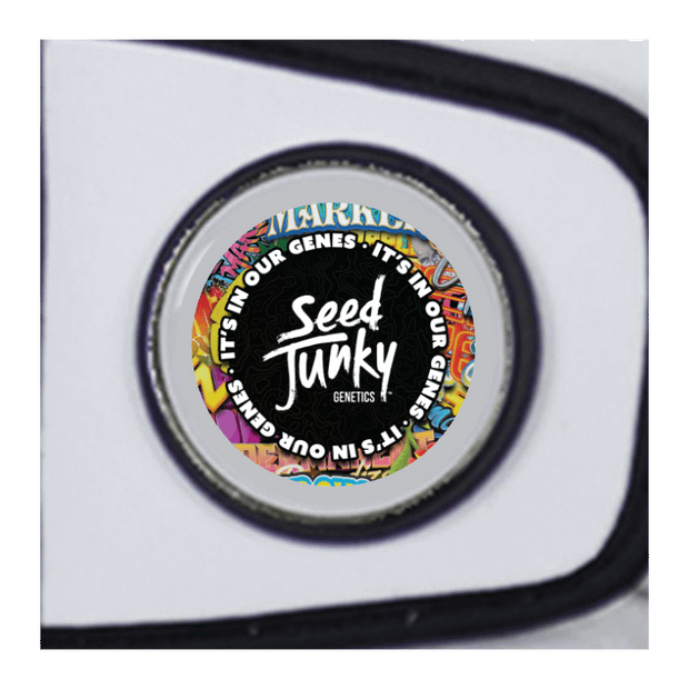 Cabretta Leather Ladies Golf Gloves 3-Pack