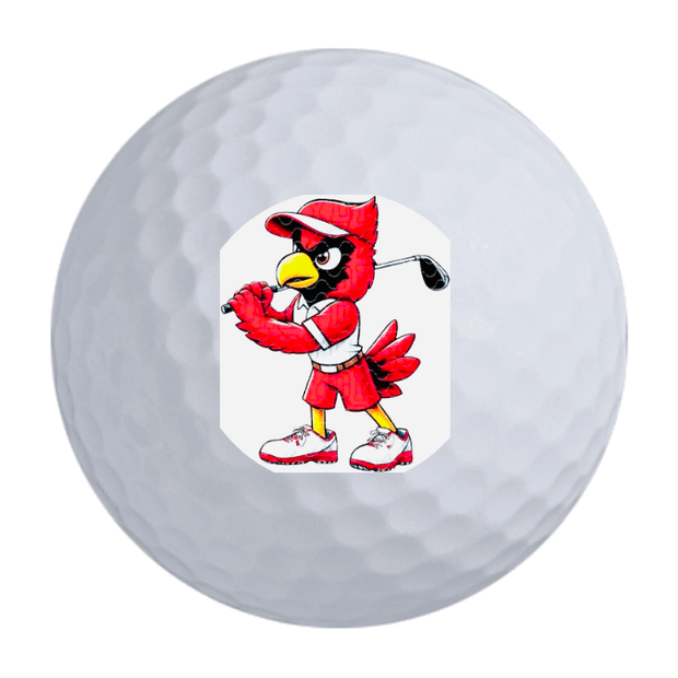 Nitro Maximum Distance Golf Balls