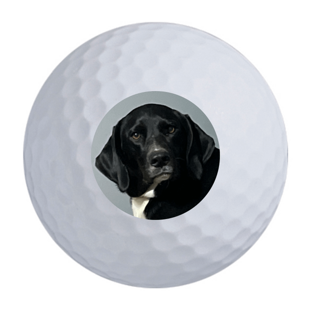 Callaway Warbird Golf Balls - 2 For $35