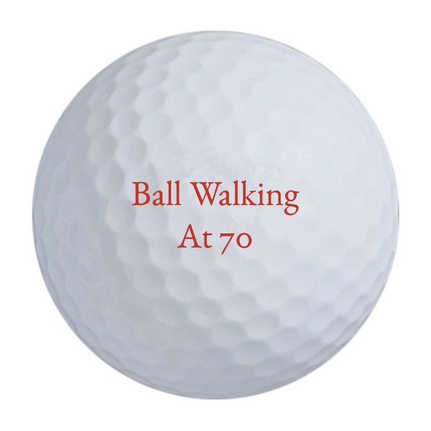 Titleist Pro V1x Golf Balls