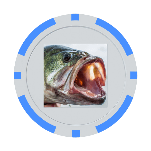 30 Poker Chips in Tube