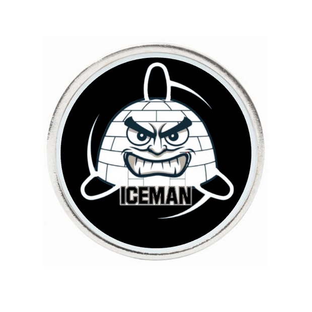 10 Pack Silver Ball Markers