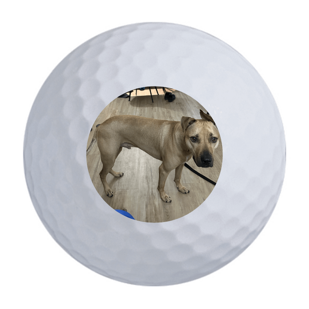 TaylorMade Distance + Golf Balls