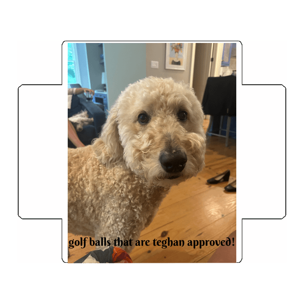 Custom Golf Ball Dozen Box Lid