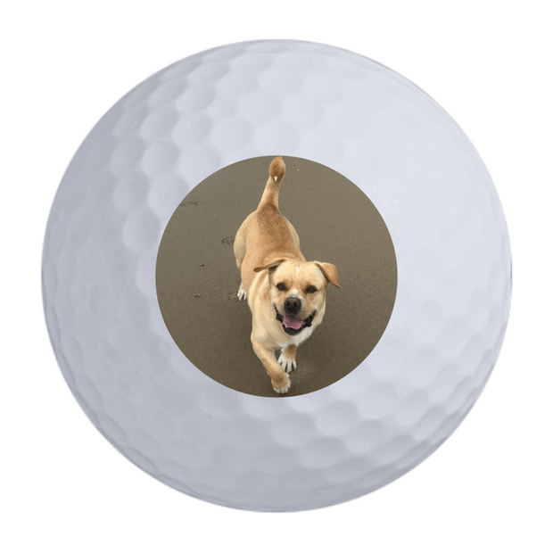 Titleist Pro V1 Golf Balls One Dozen