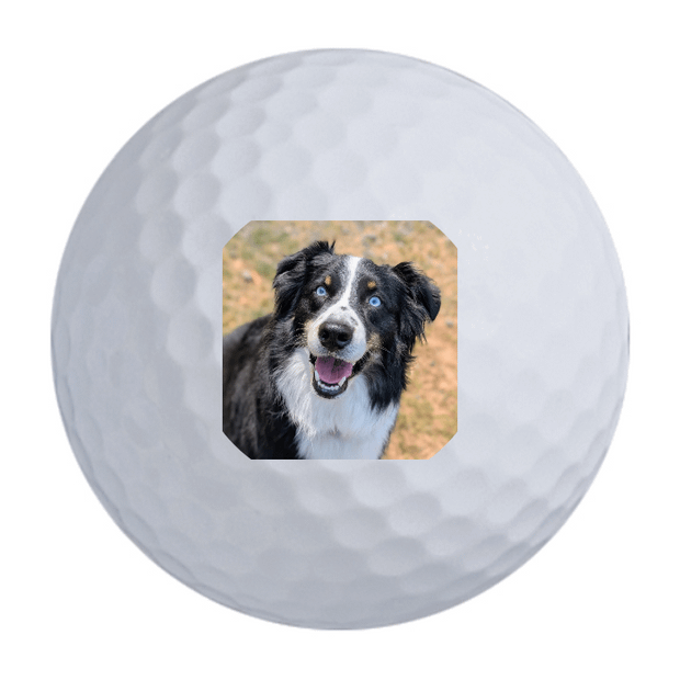 Bridgestone e6 Golf Balls