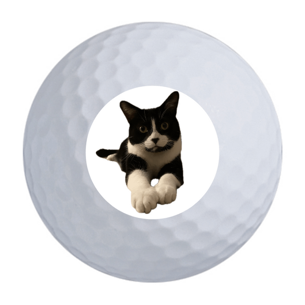 Custom Callaway Warbird Golf Balls One Dozen