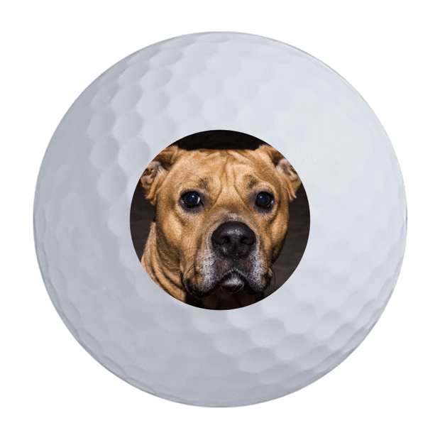 Titleist Pro V1 Golf Balls