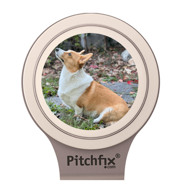 White Pitchfix Hatclip