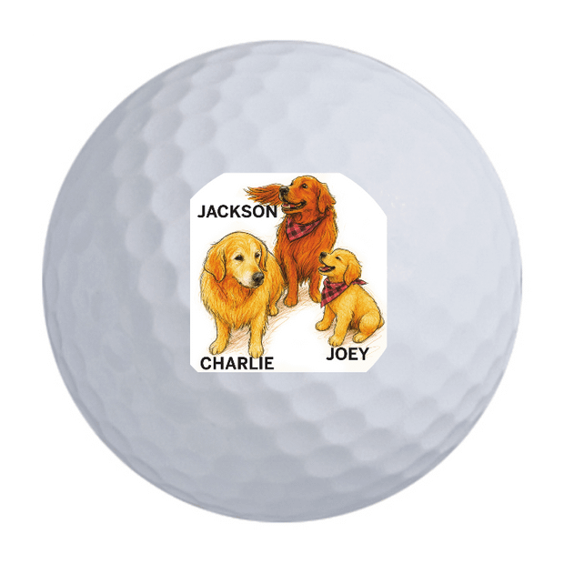 TaylorMade TP5x Golf Balls