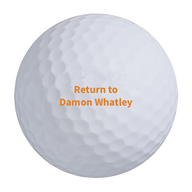 Vice Pro Golf Balls