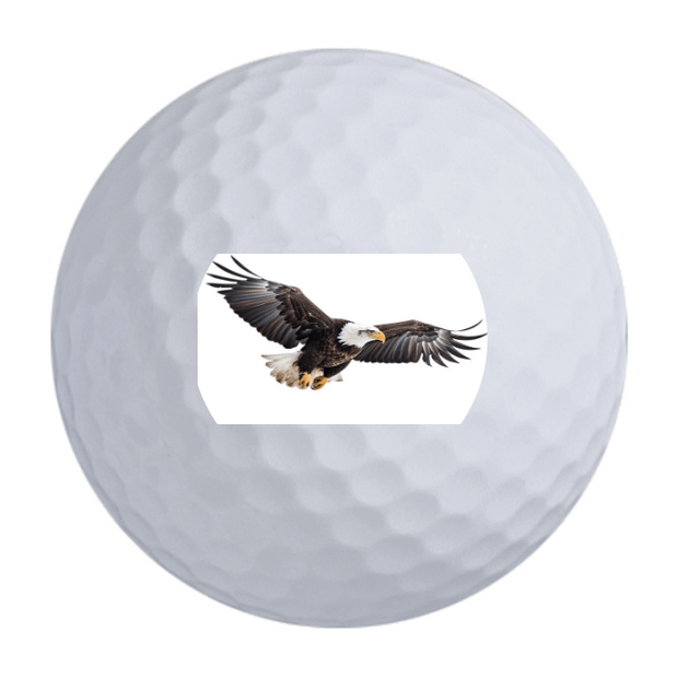 Bridgestone e6 Golf Balls