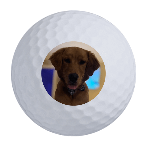 Titleist Pro V1 Golf Balls One Dozen
