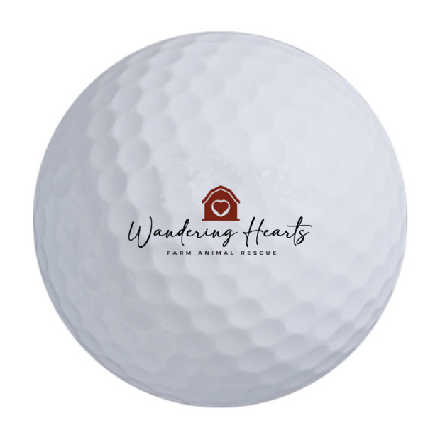 Nitro Maximum Distance Golf Balls