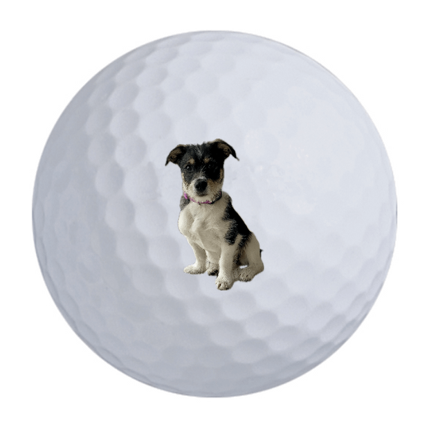 TaylorMade Distance + Golf Balls