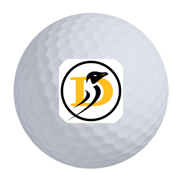 Titleist Pro V1 Golf Balls